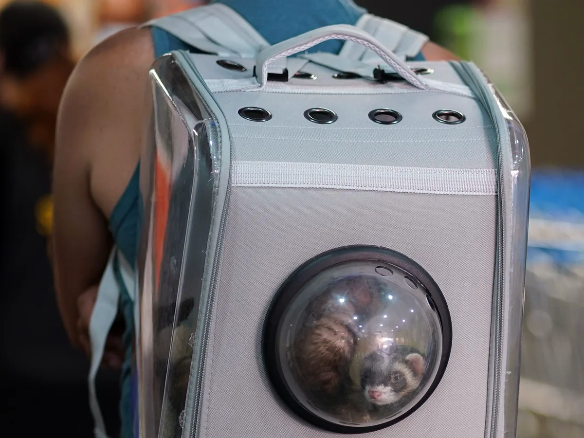 A handler carrying a pet in a shoulder travel carrier