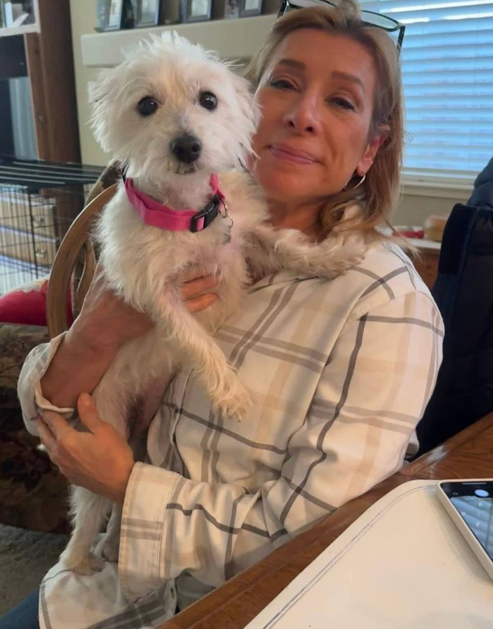 Customer holding her small cream terrier after delivery