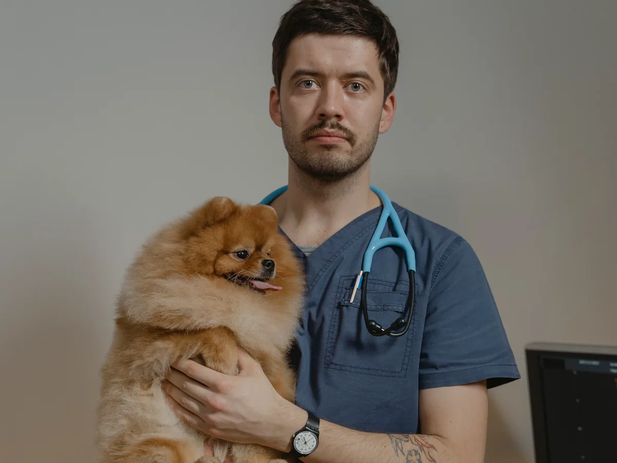 A handler carrying a small dog with both hands supported